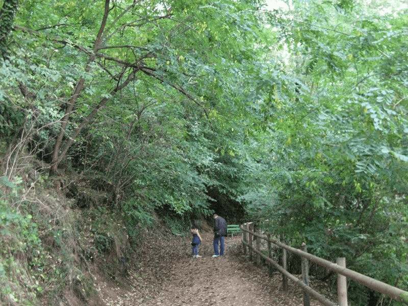 Ruta Boscos d’en Serrallonga